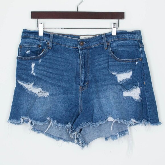 Abercrombie & Fitch Womens Curve Love High Rise Shorts Size 33 16 Distressed - Picture 1 of 8